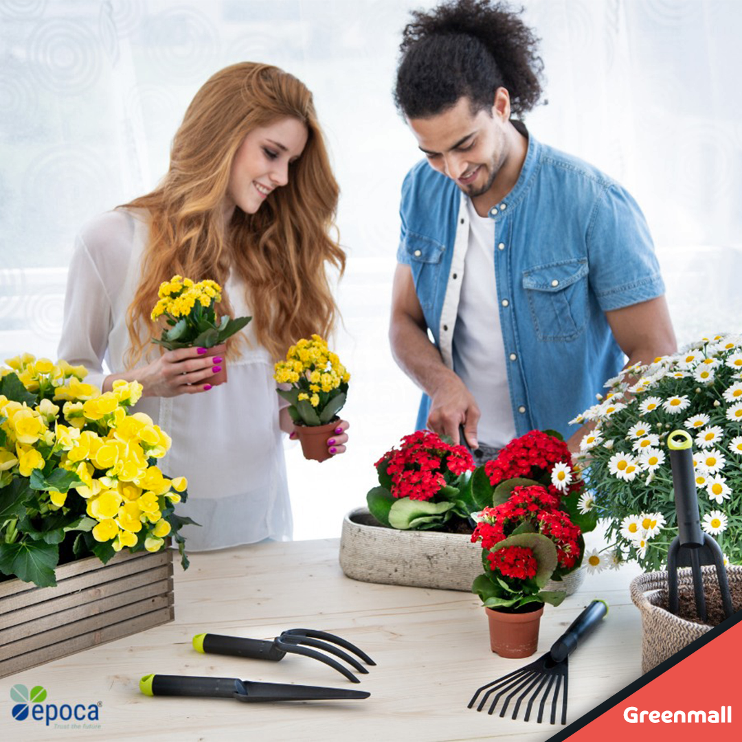 Habitat Yabani Ot Çatalı Yeşil