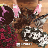 Habitat Yabani Ot Çatalı Yeşil