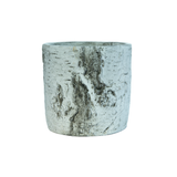 Huş Saksı Küçük Boy Gri