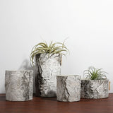 Huş Saksı Küçük Boy Gri