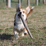 İkili Baby Köpek Oyuncağı Mavi