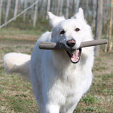 İkili Baby Köpek Oyuncağı Mavi