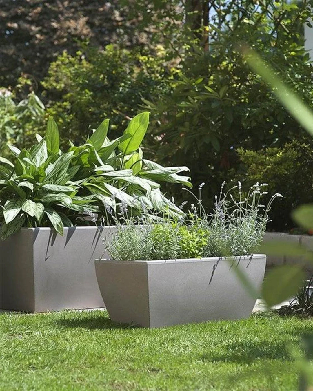 Jardiniera Veneto 80 Antrasit Plastik Saksı