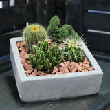 Kare Beton Saksı 10 Cm Gri