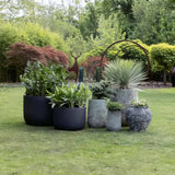 Koral Mercan Küp Saksı Mavi