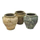 Koral Mercan Küp Saksı Mavi