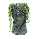 Royal Queen Büst Saksı