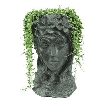 Royal Queen Büst Saksı