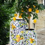 Lemon Fusion Saksı L