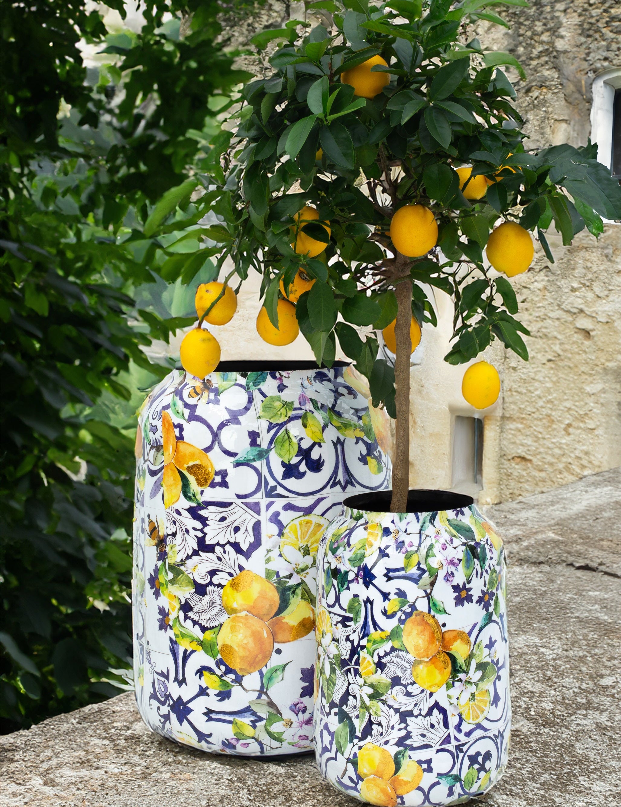 Lemon Fusion Saksı L