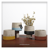 Lenus Beton Saksı Sarı