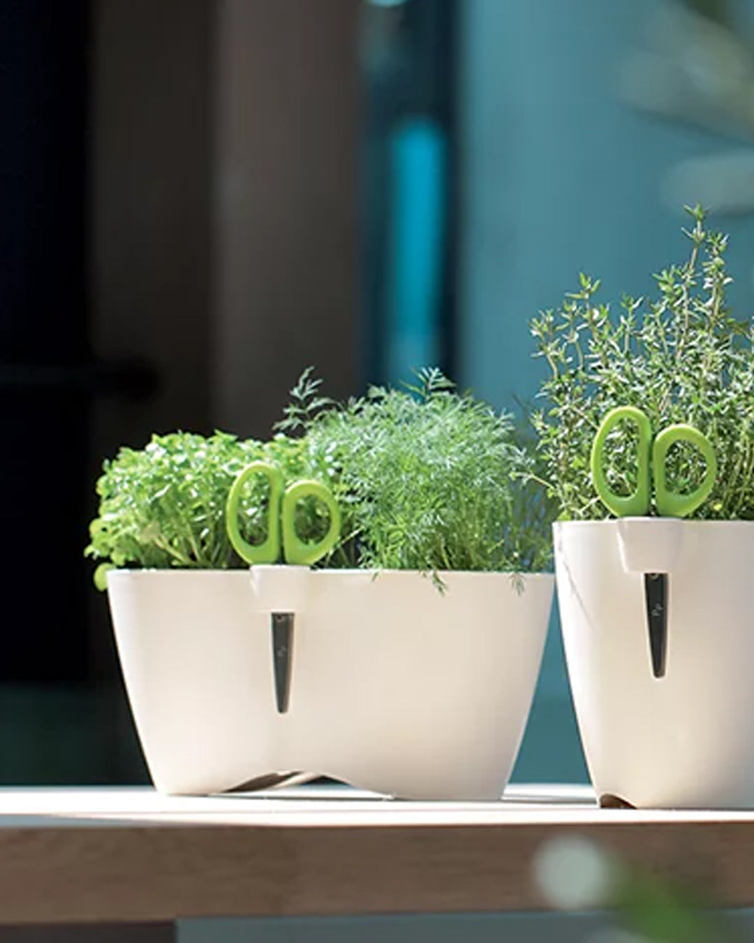 Limes Dublo Çift Bölmeli Plastik Çiçek Saksısı çap 25 cm yükseklik 12 cm beyaz kompakt