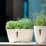 Limes Dublo Çift Bölmeli Plastik Çiçek Saksısı çap 25 cm yükseklik 12 cm beyaz kompakt