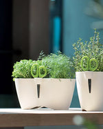 Limes Dublo Çift Bölmeli Plastik Çiçek Saksısı çap 25 cm yükseklik 12 cm beyaz kompakt