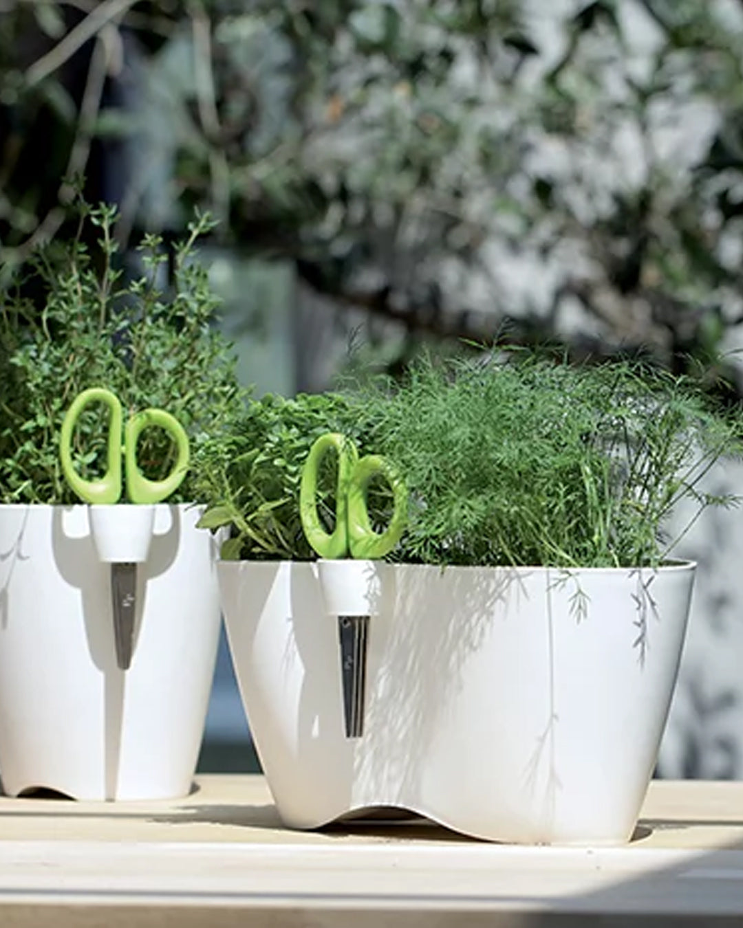 Limes Dublo Çift Bölmeli Plastik Çiçek Saksısı çap 25 cm yükseklik 12 cm beyaz kompakt