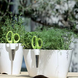 Limes Dublo Çift Bölmeli Plastik Çiçek Saksısı çap 25 cm yükseklik 12 cm beyaz kompakt