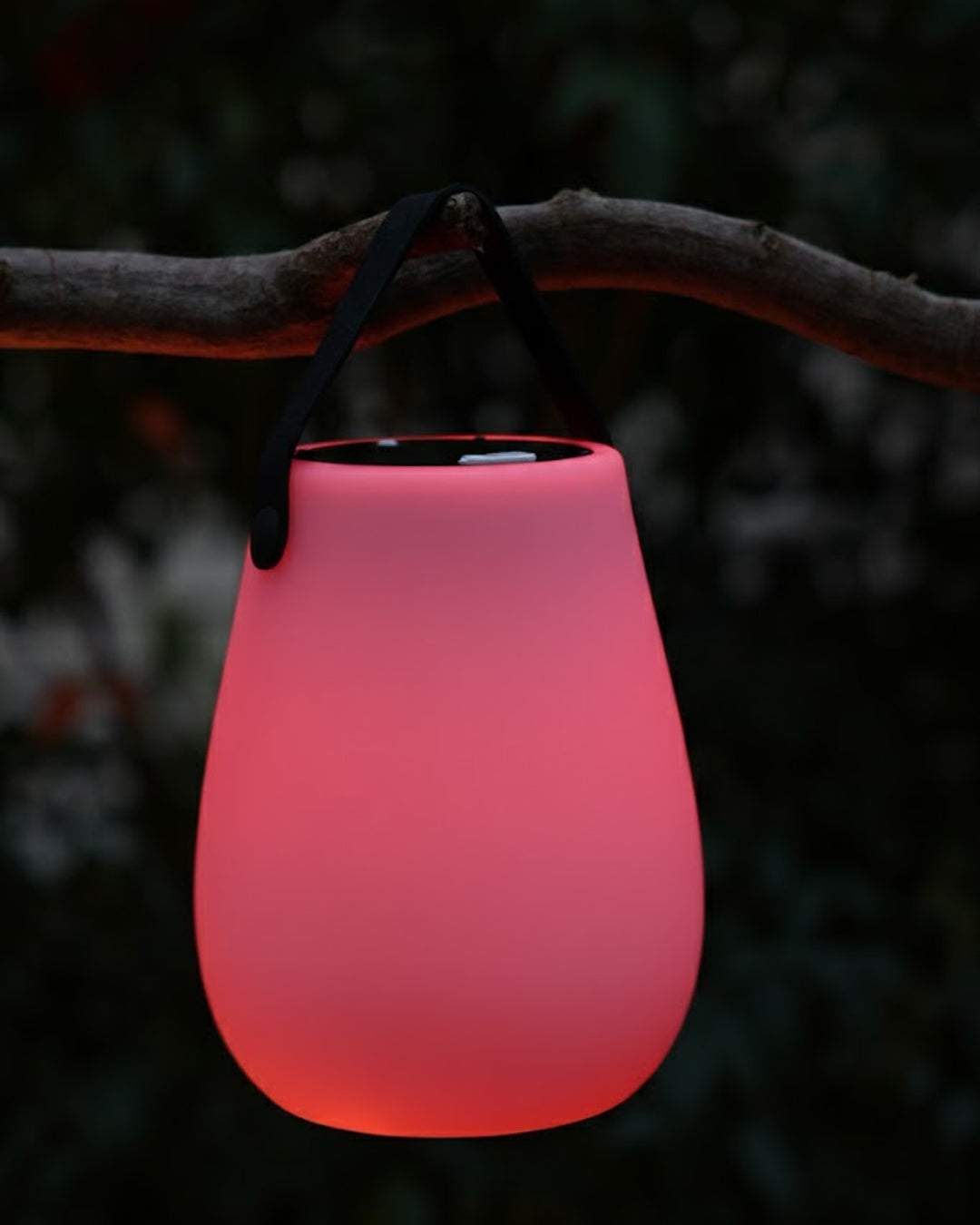 Luna Solar Yuvarlak Masa Lambası