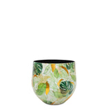Lush Botanic Saksı S