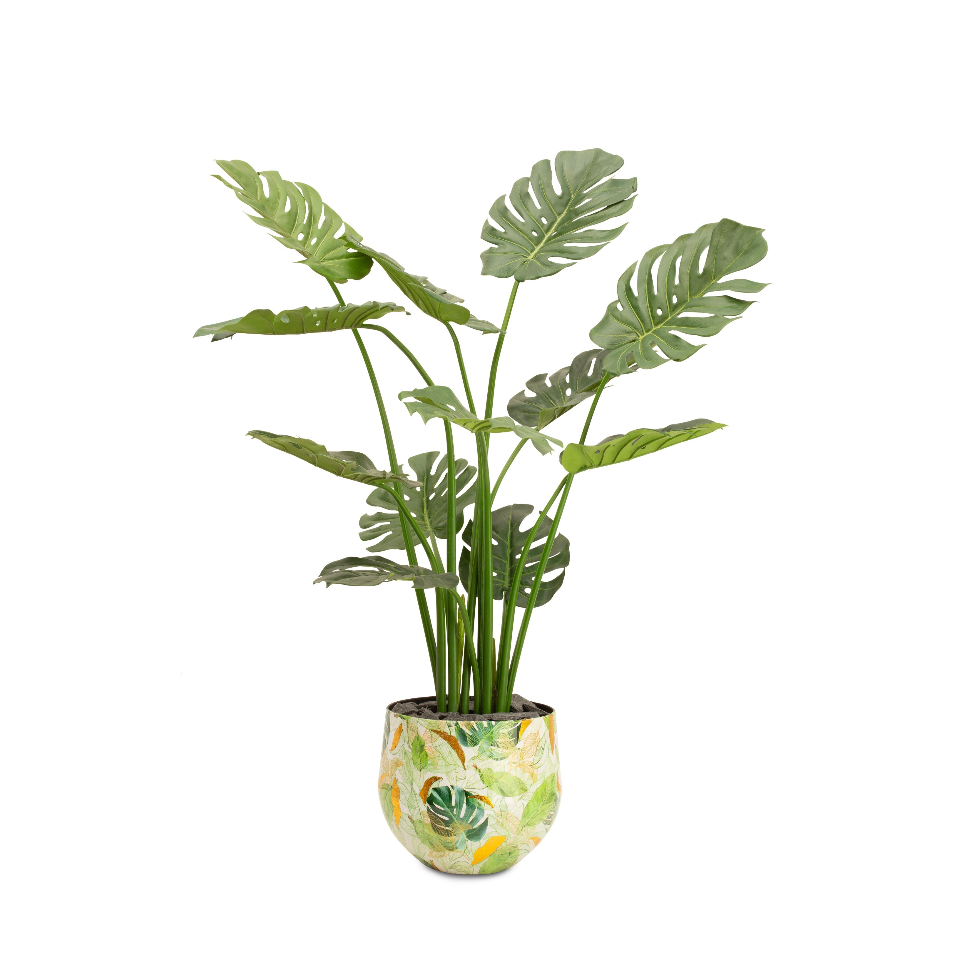 Lush Botanic Saksı S