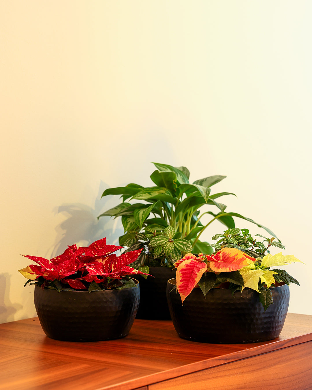 Mavre Küçük Boy Saksı Siyah