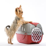 Maxy Evcil Hayvan Taşıma Kutusu Bordo