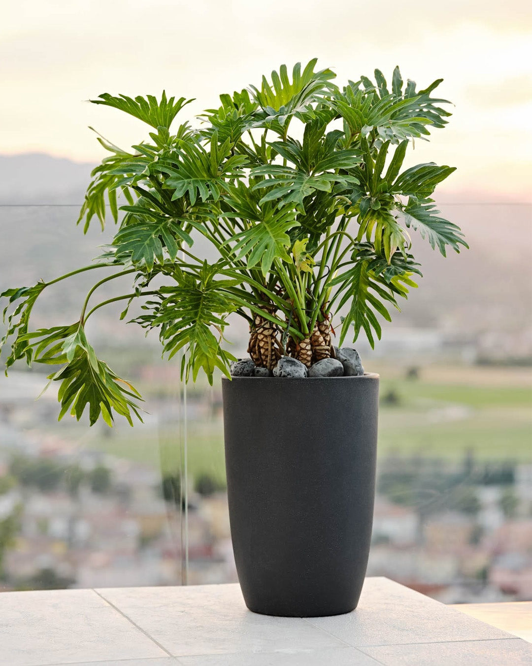 Meti 30 Plastik Saksı Antrasit