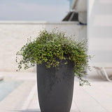 Meti 30 Plastik Saksı Antrasit