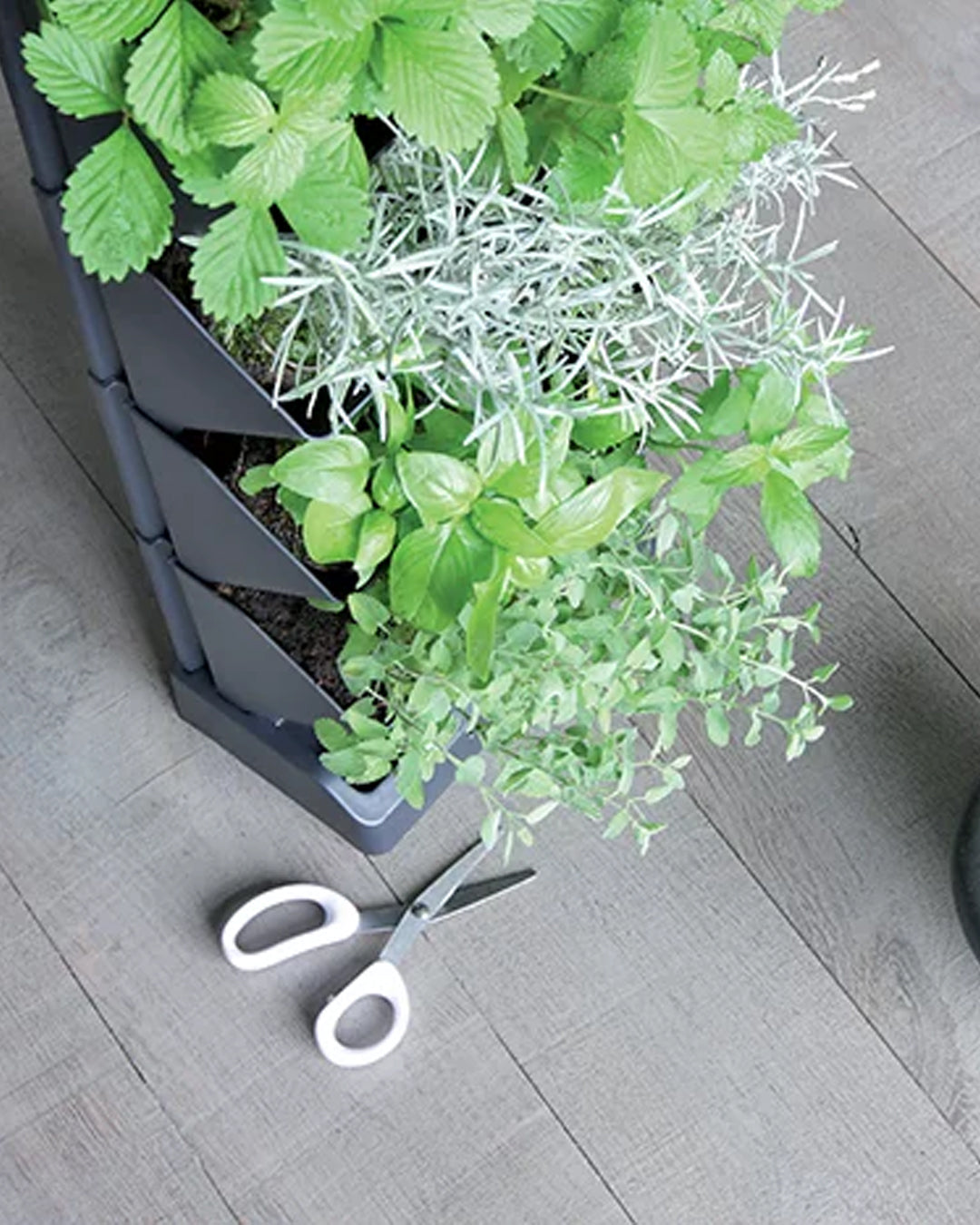 Mini Garden Vertical Dikey Bahçe Modülü 11.4x19.5x47.5 cm antrasit istiflenebilir saksı