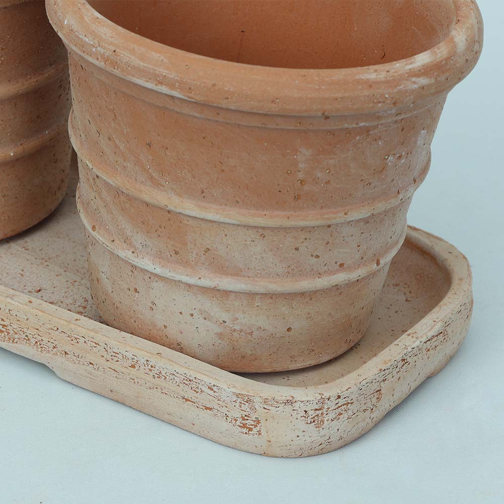 Mini Siena Toprak Saksı Seti Terracota