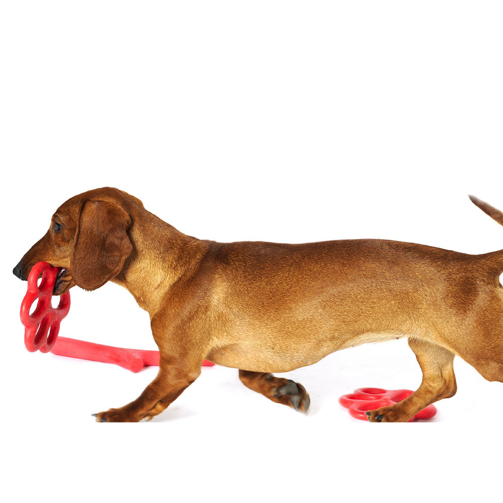 Orma Büyük Köpek Oyuncağı Sarı