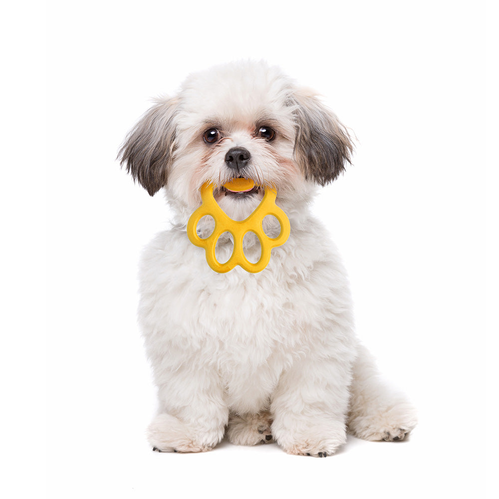 Orma Köpek Oyuncağı Sarı