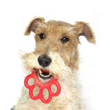 Orma Mini Köpek Oyuncağı Mavi