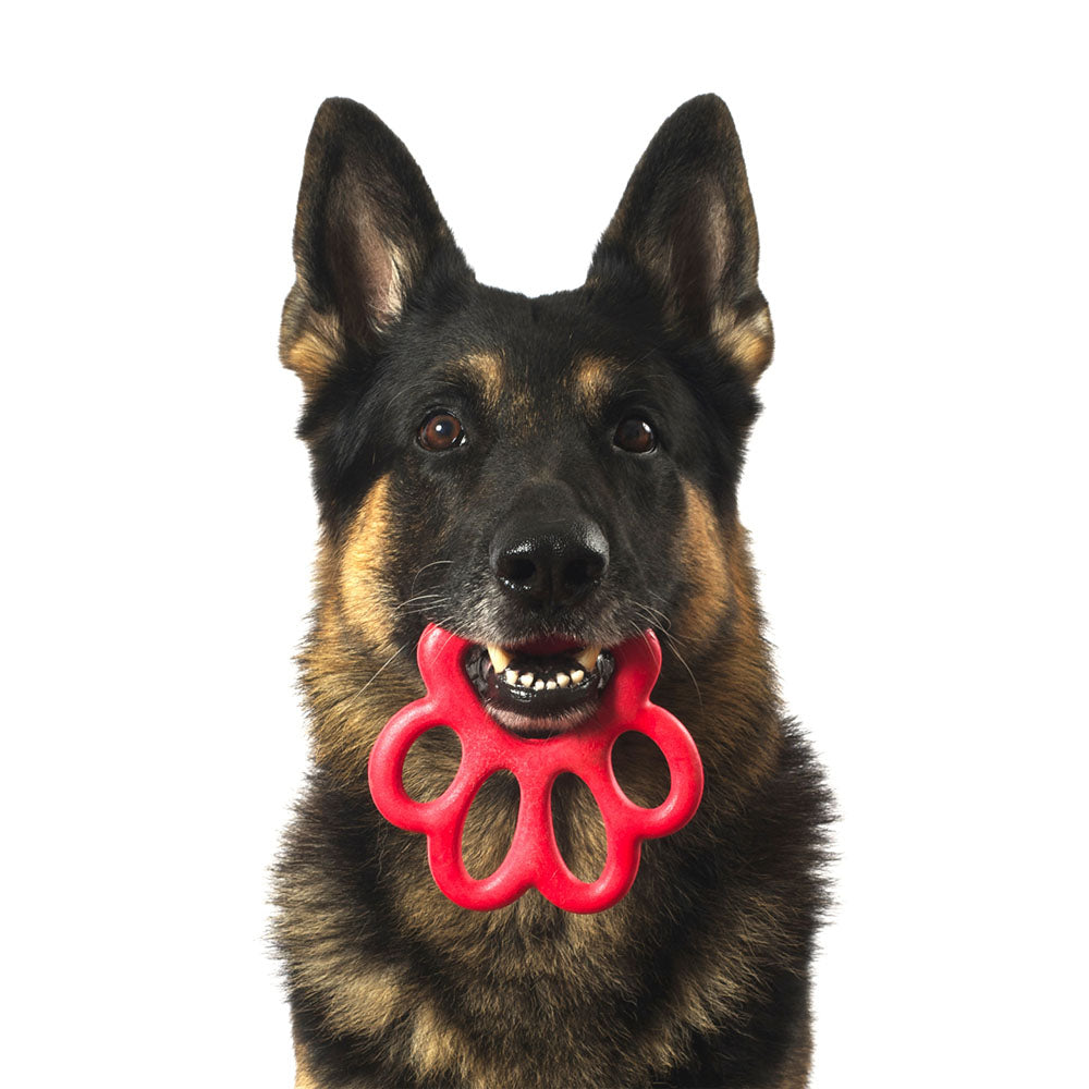 Orma Mini Köpek Oyuncağı Sarı