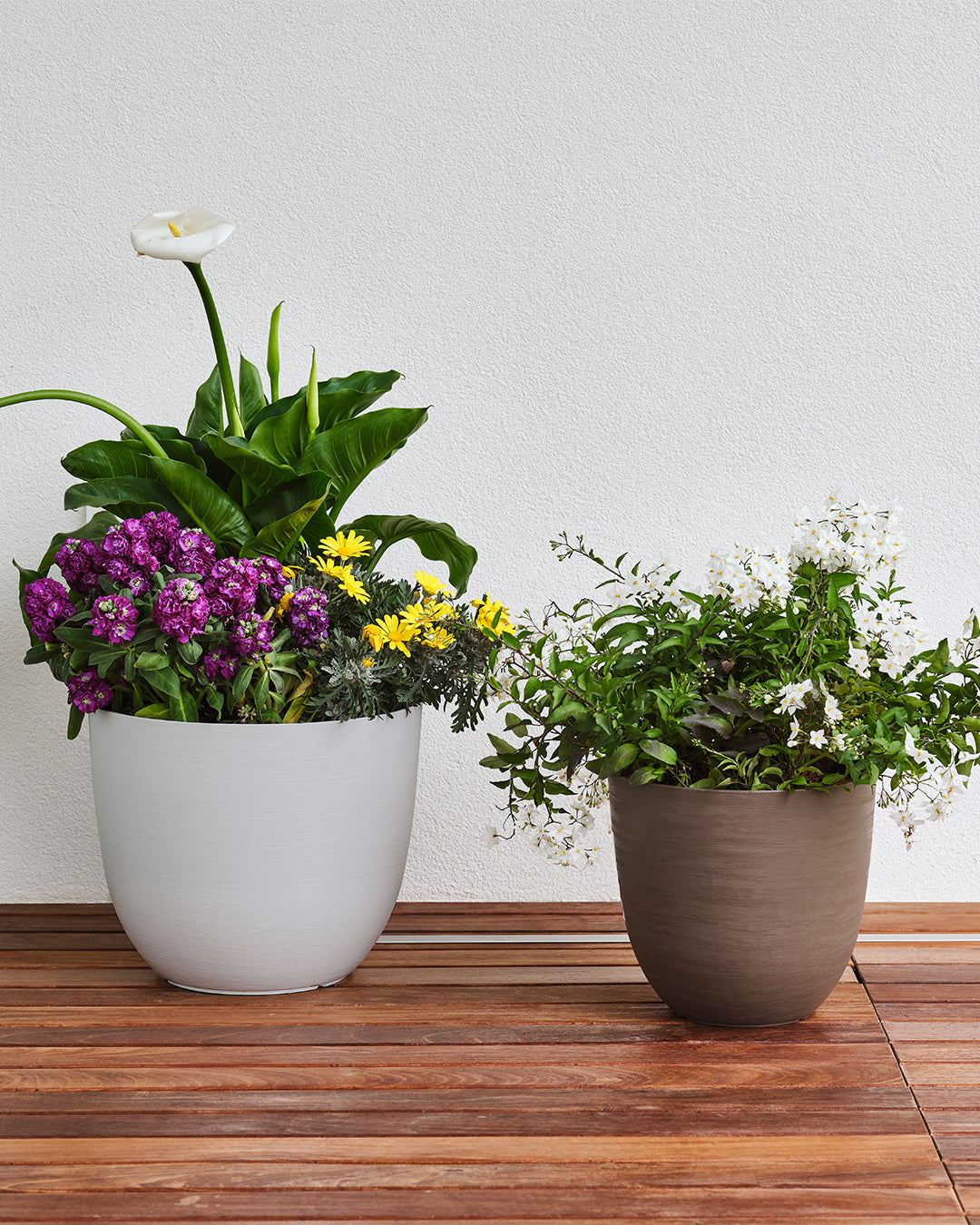 Over 38 Akıllı Saksı Bej