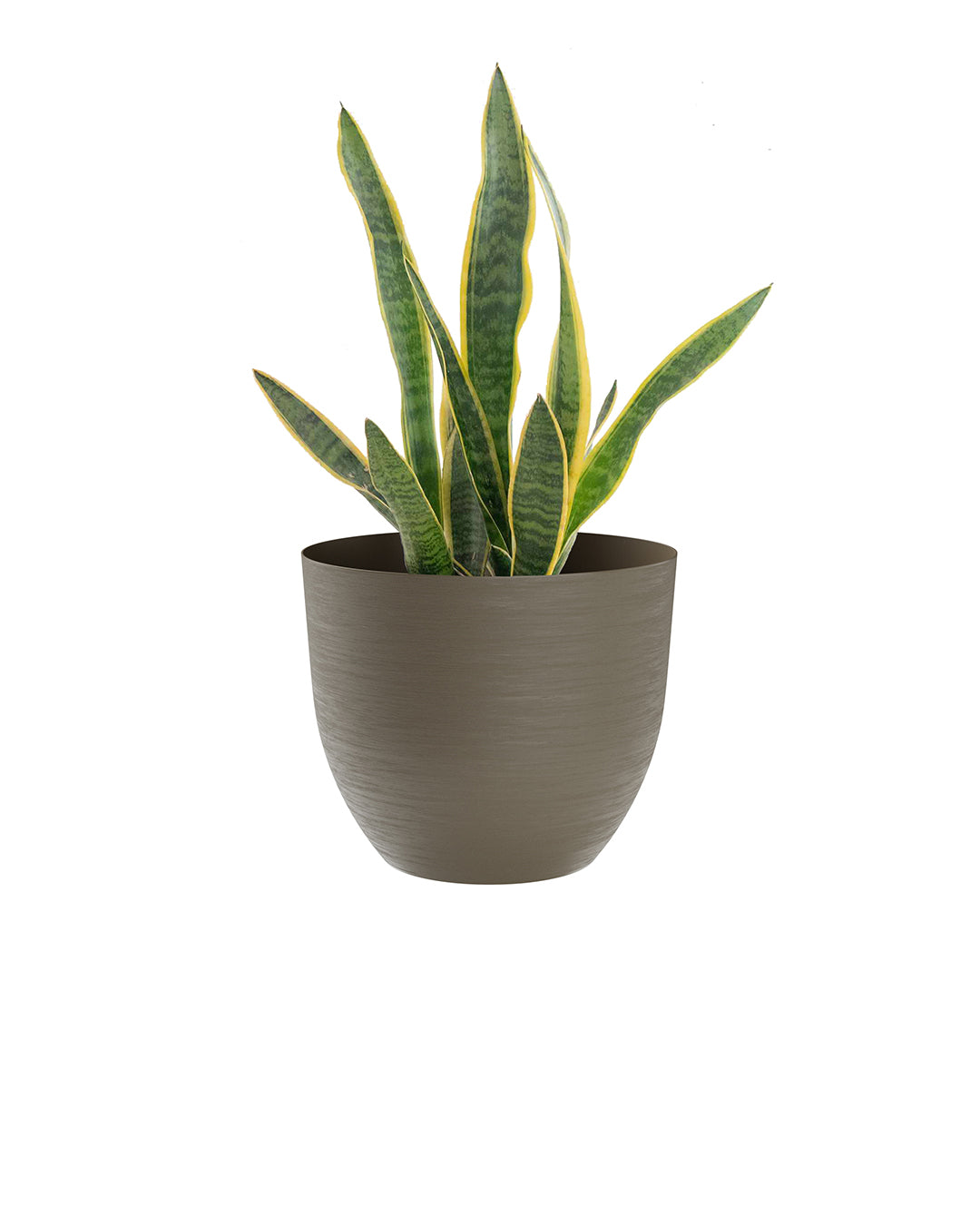 Over 38 Bej Plastik Akıllı Saksı