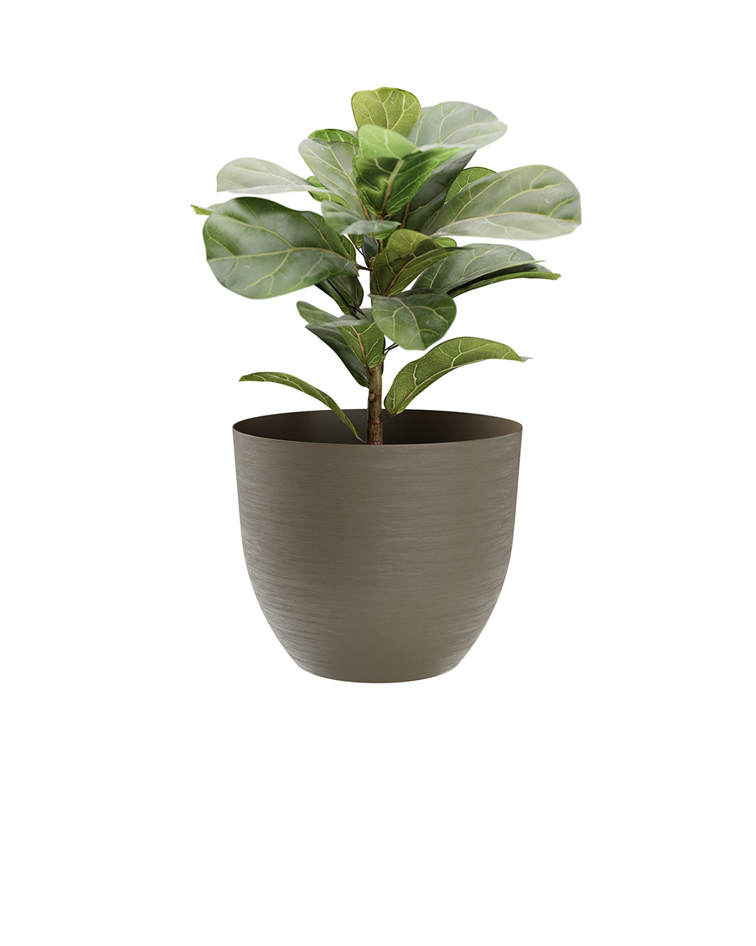 Over 38 Akıllı Saksı Bej