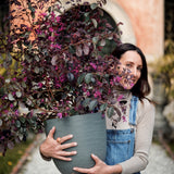 Over 38 Akıllı Saksı Siyah