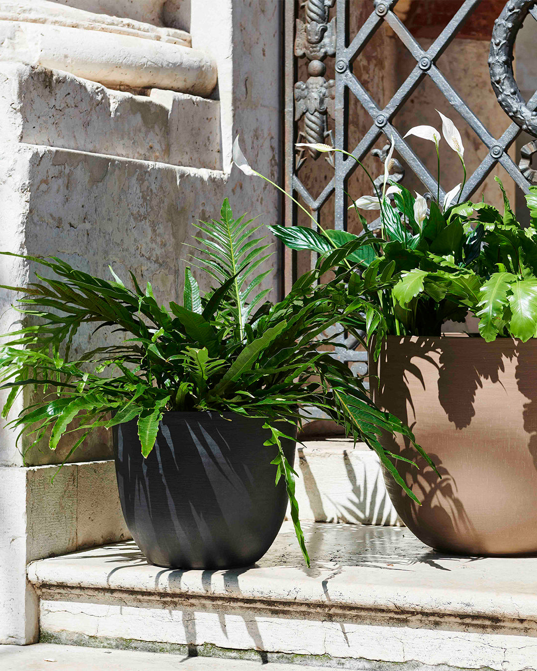 Over 38 Siyah Plastik Akıllı Saksı