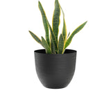 Over 38 Akıllı Saksı Siyah