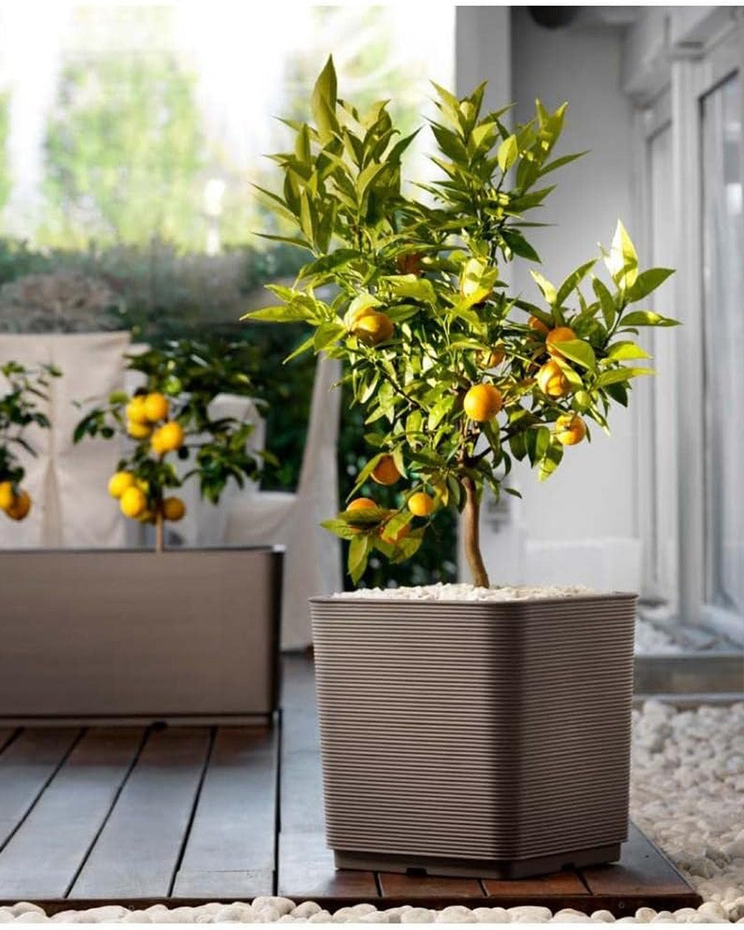 Pixel Groove Plastik Saksı Gri