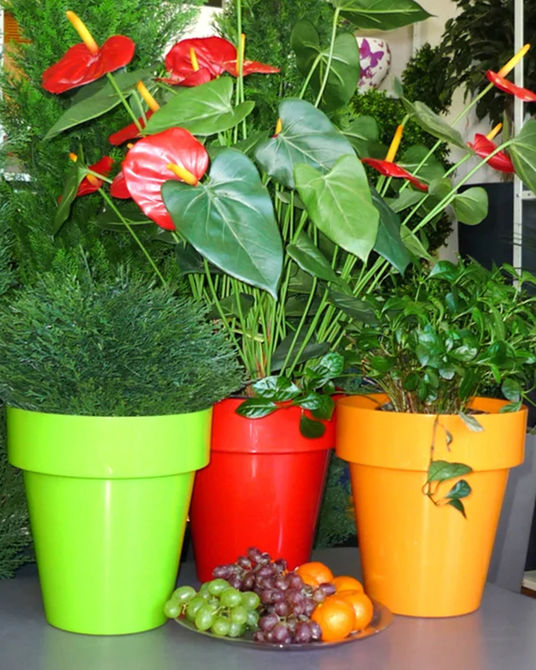 Porto 14 Plastik Saksı Yeşil