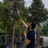 Power Gear Teleskopik Yüksek Dal Budama Makası