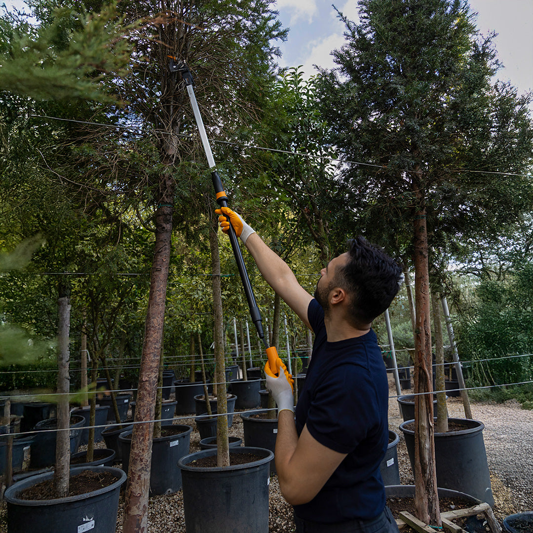 Power Gear X Teleskopik Yüksek Dal  Budama Makası