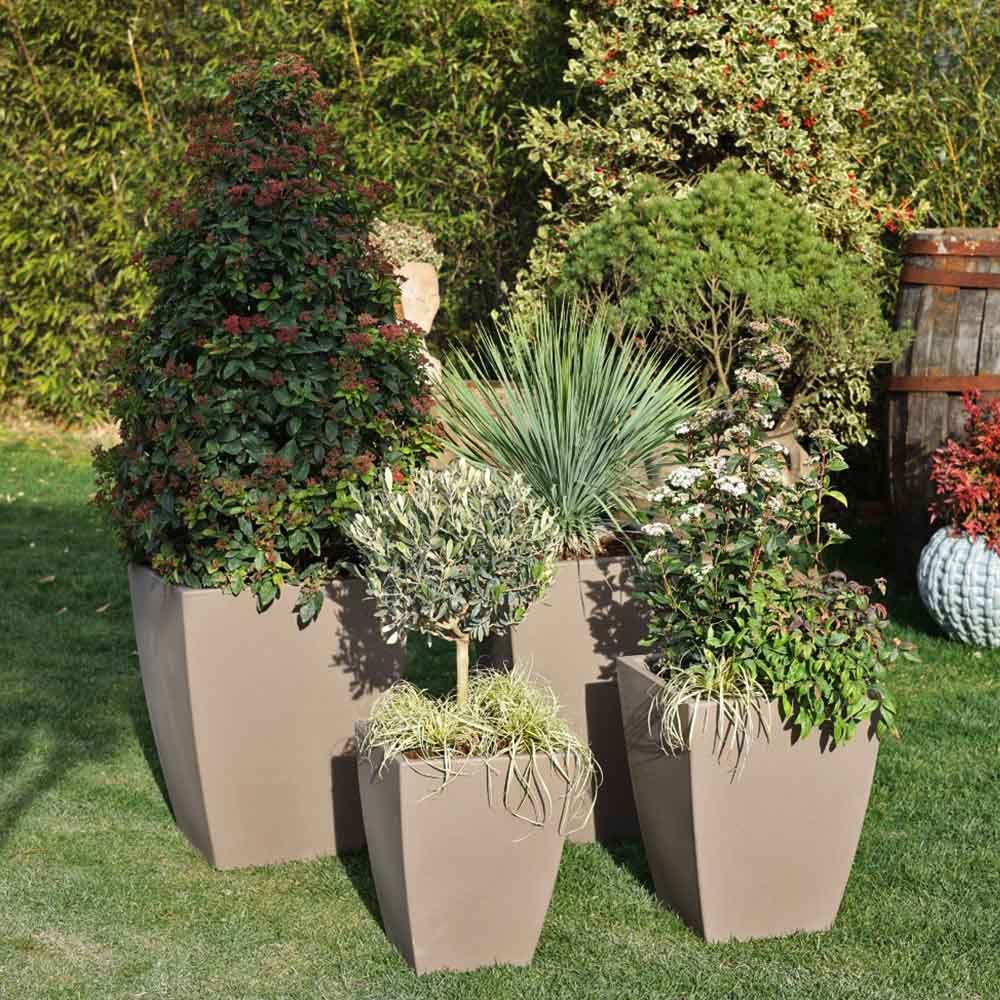 Quadro Veneto 35 Plastik Saksı Kapuçino