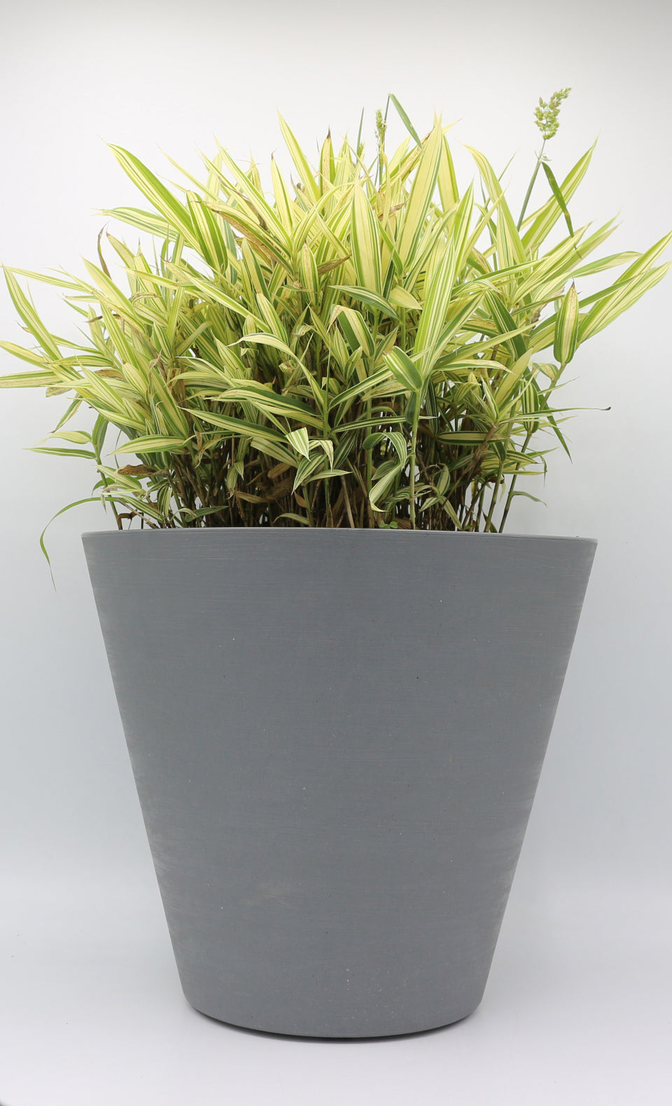 Re-Pot 30 Plastik Saksı Yeşil