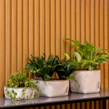 Rosmerta Saksı 4'lü Set