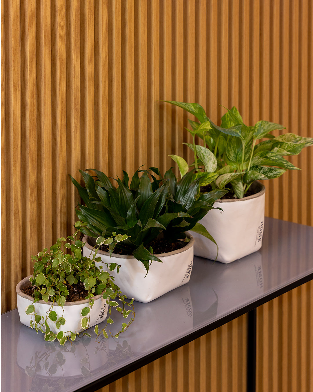 Rosmerta Saksı 4'lü Set