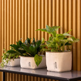 Rosmerta Saksı 4'lü Set