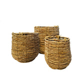 Santo Askılı Hasır Saksı Büyük