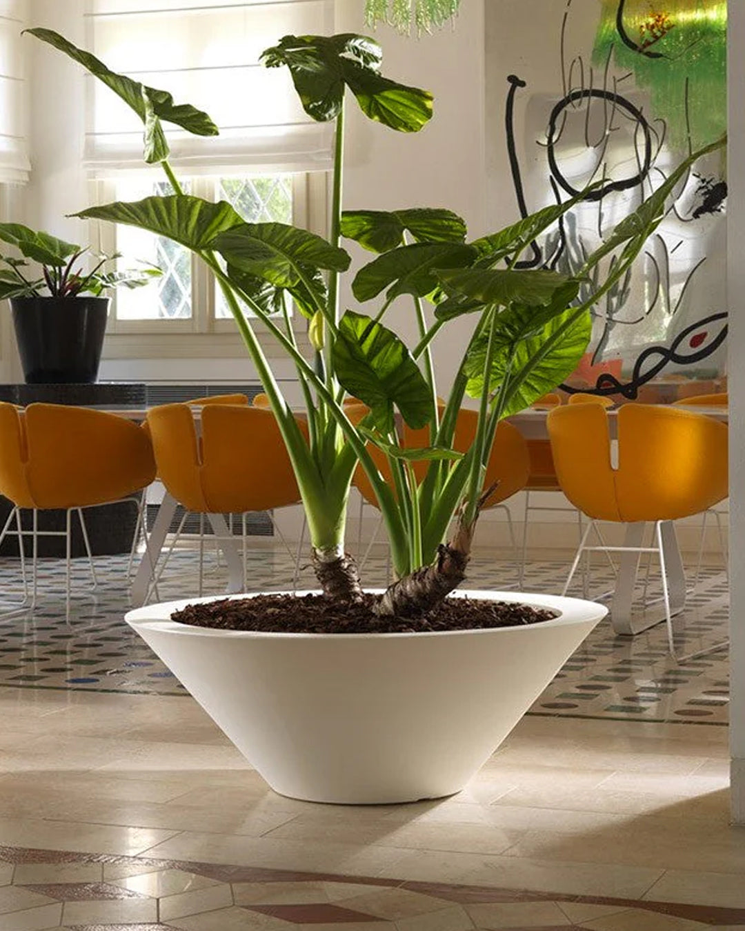 Schio Ciotala 60 Plastik Saksı Terakota